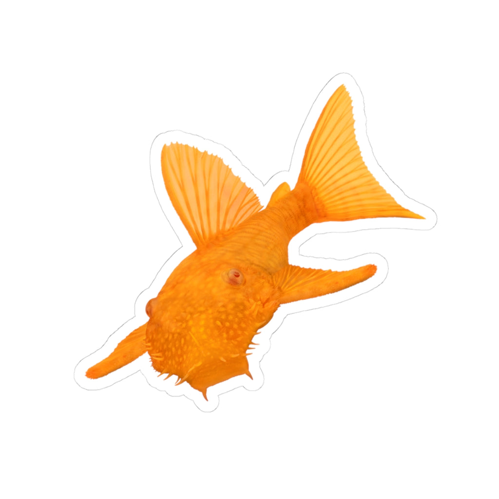 Super Red Bristlenose Pleco 3" Sticker