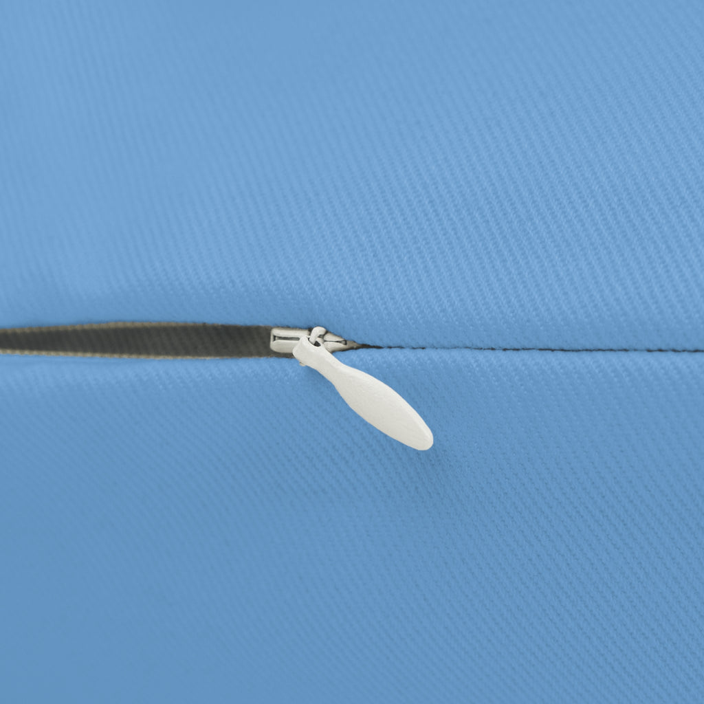 Super Red Bristlenose Pleco Pillow (1-sided)